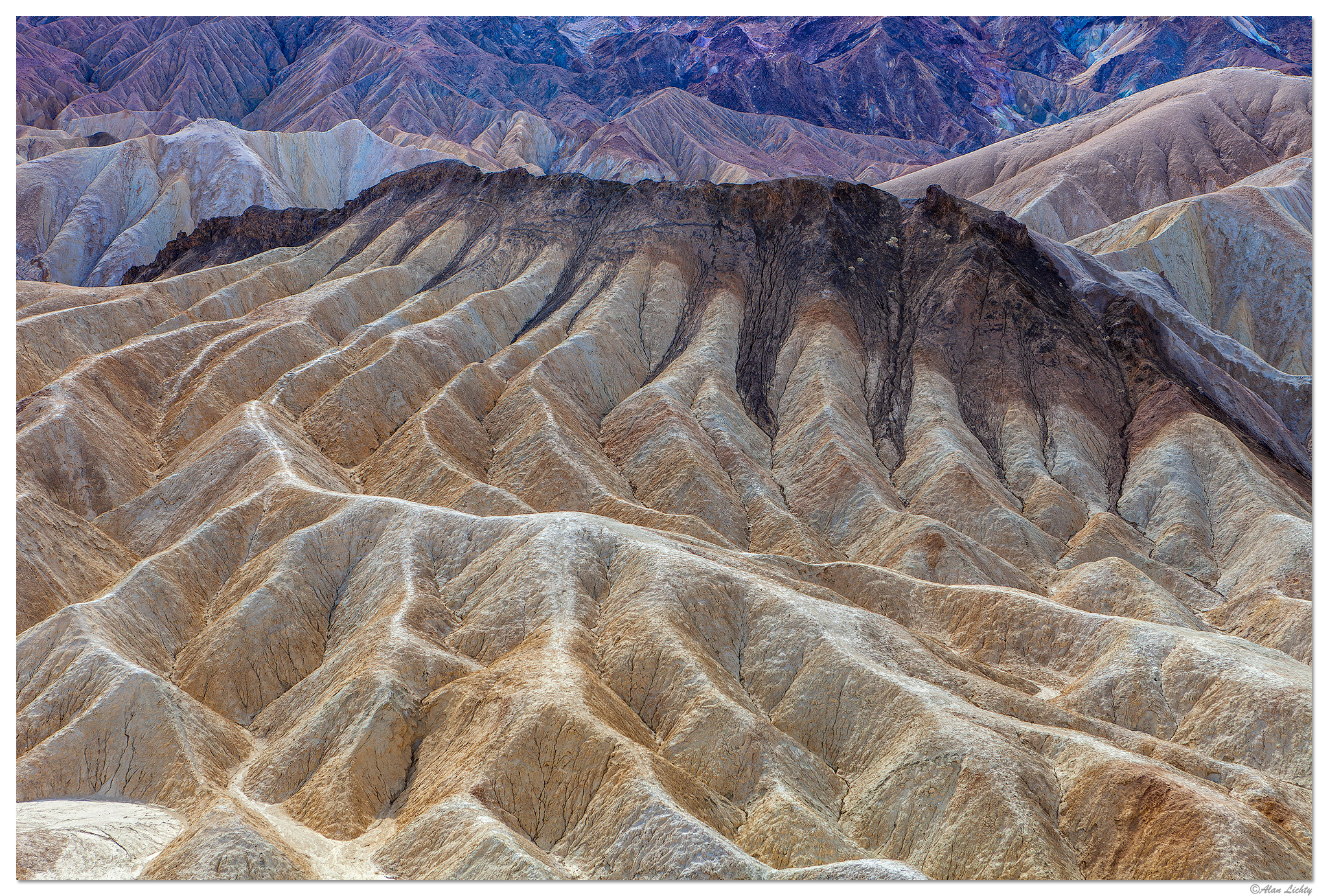 C5D2_Zabriskie020612.jpg