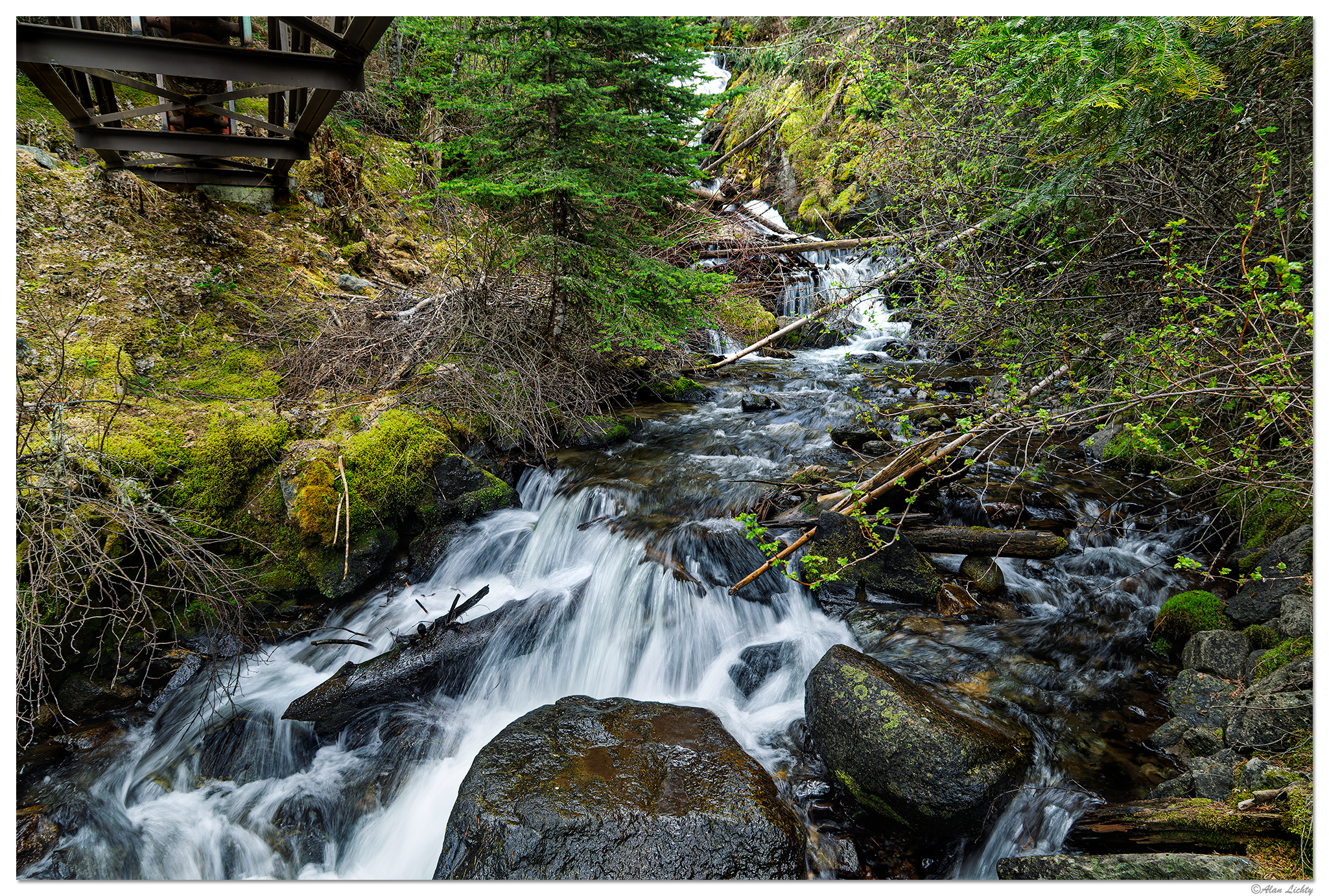 C5D4_EFWallowa050719.jpg