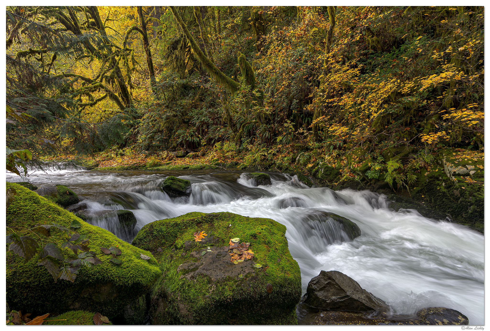 C5D4_FallsAlongTheTrail110823.jpg
