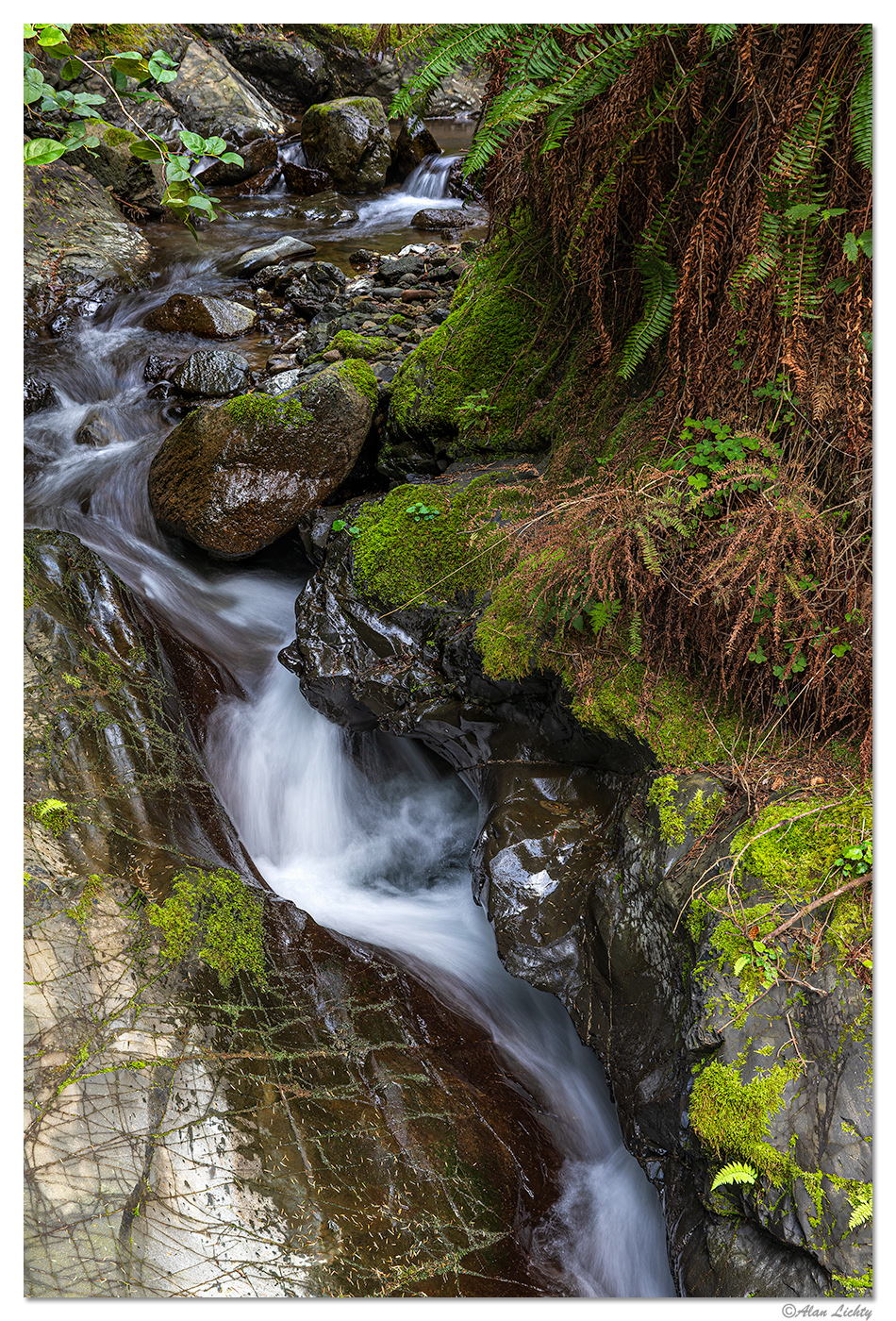 C5D4_PCTUnnamedFalls031120.jpg