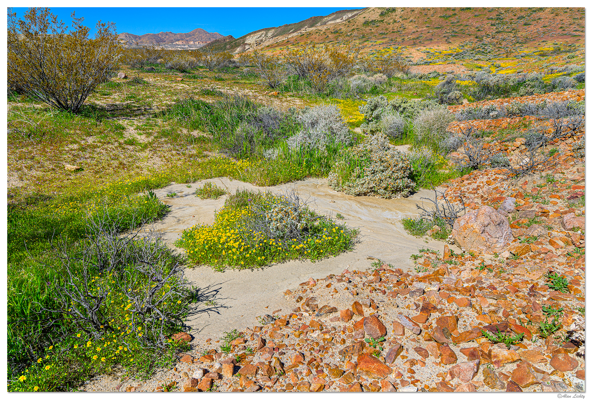 C5D4_RedRock031519.jpg