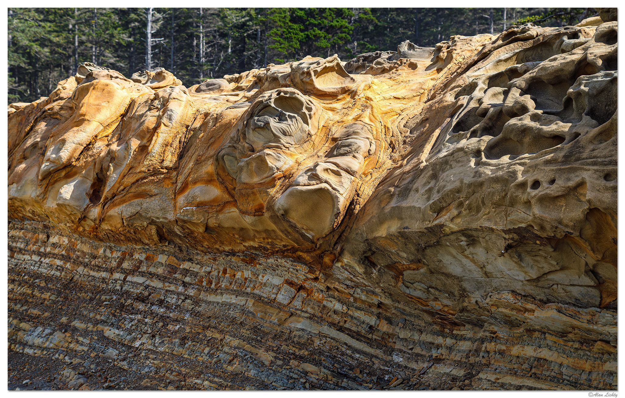 C5D4_ShoreAcresSculptures092221.jpg