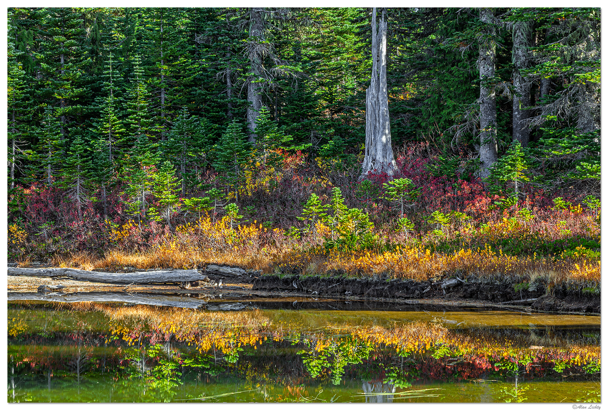 C6D_FallReflections100515.jpg