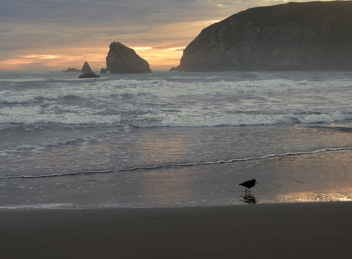 CA-AZ 25 006 DSC_2982 RP.jpg