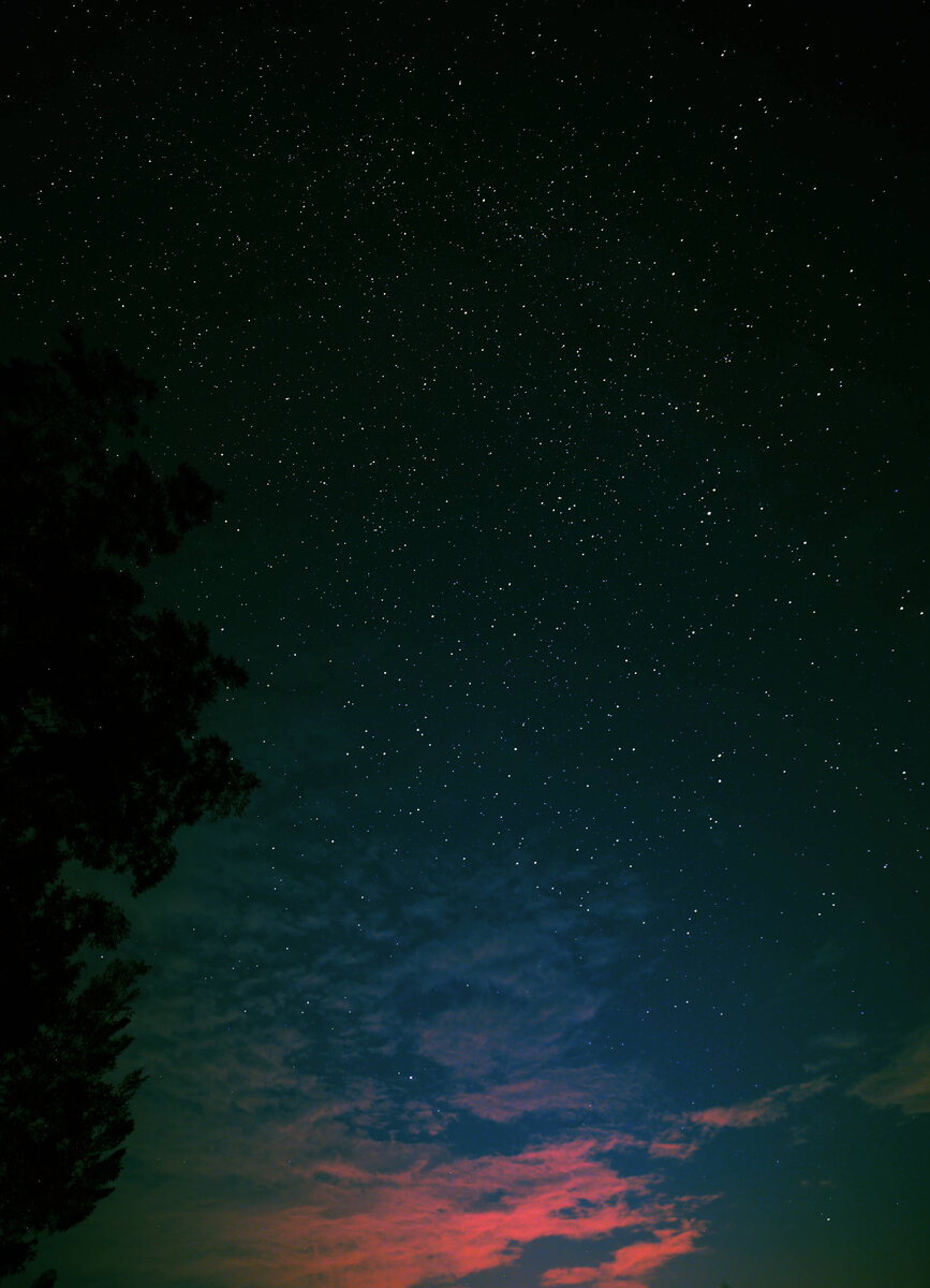 Campos_starfield.jpg