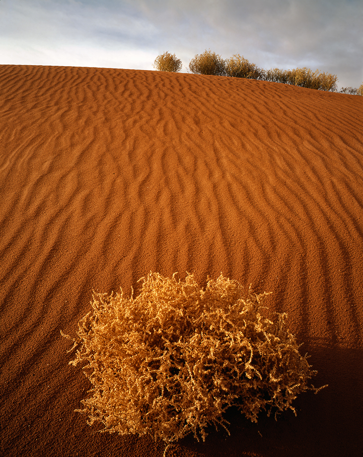 canyon de chelly-1051.jpg