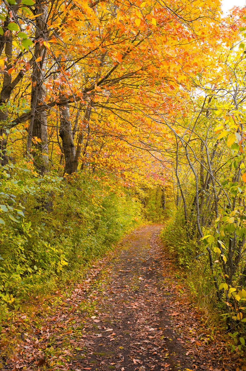 Carver Park 101223-22.jpg