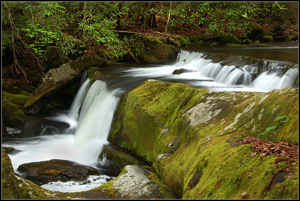 Cascade at Middle Prong Tremont - GSMNP.jpg