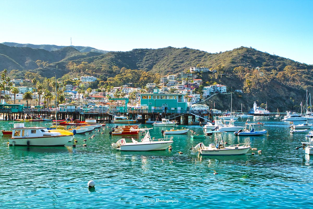 Catalina 1.jpg