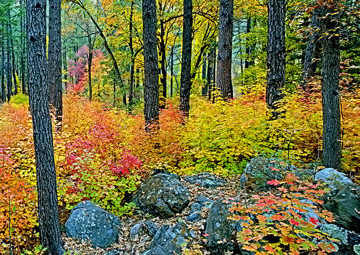 Cave Springs panorama  II.jpg