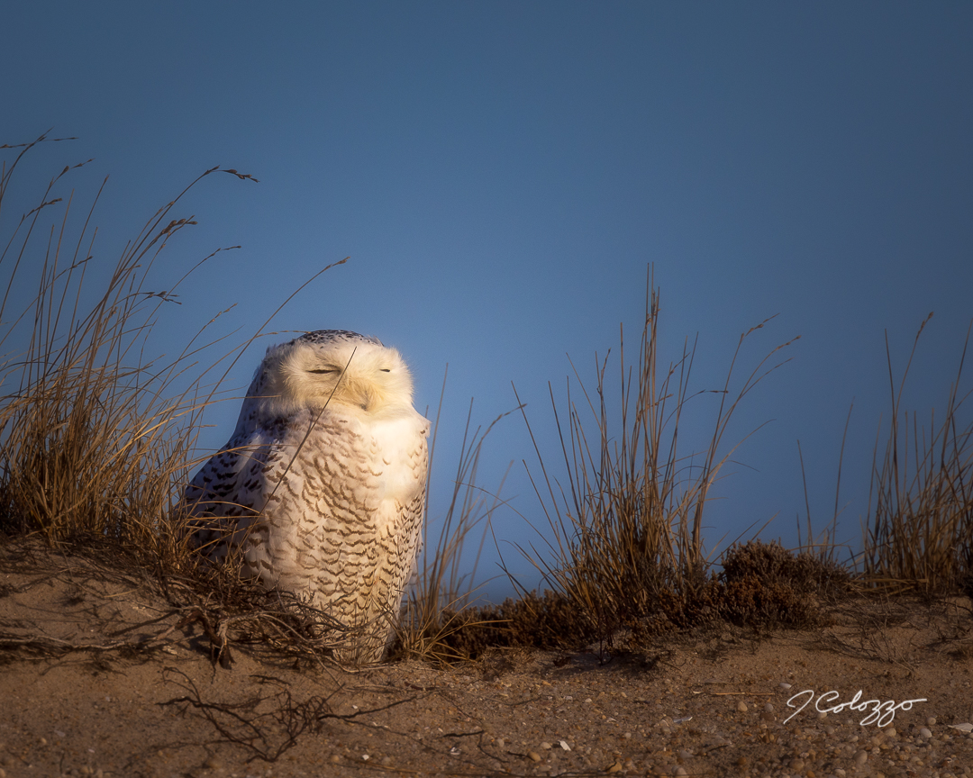 CD0A7818-Edit.jpg