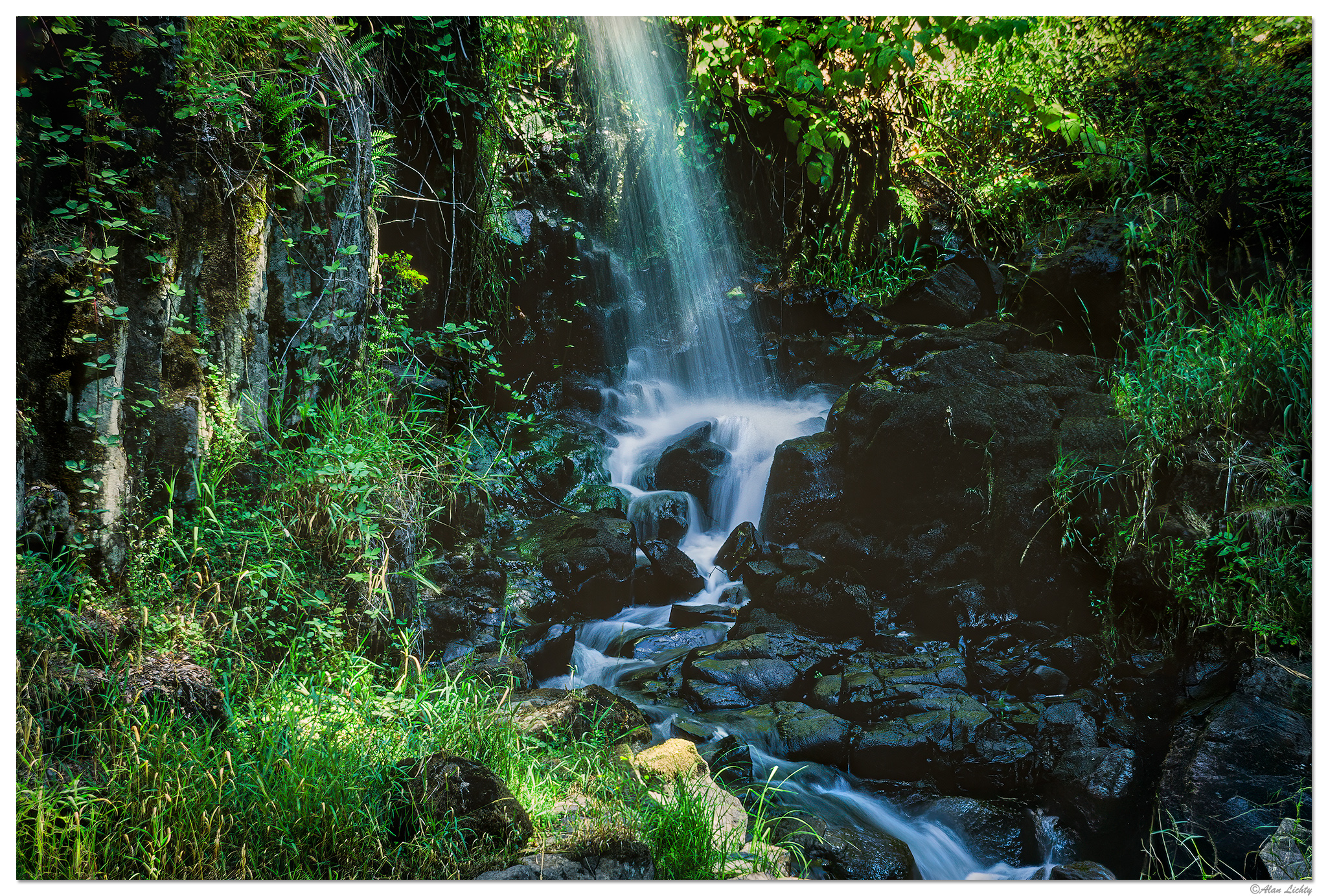 CElan_CedarCreekGM2001.jpg