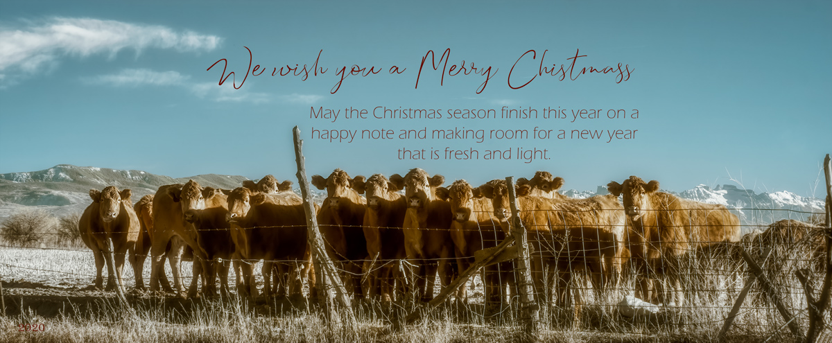 Christmas-Greetings-2020.jpg