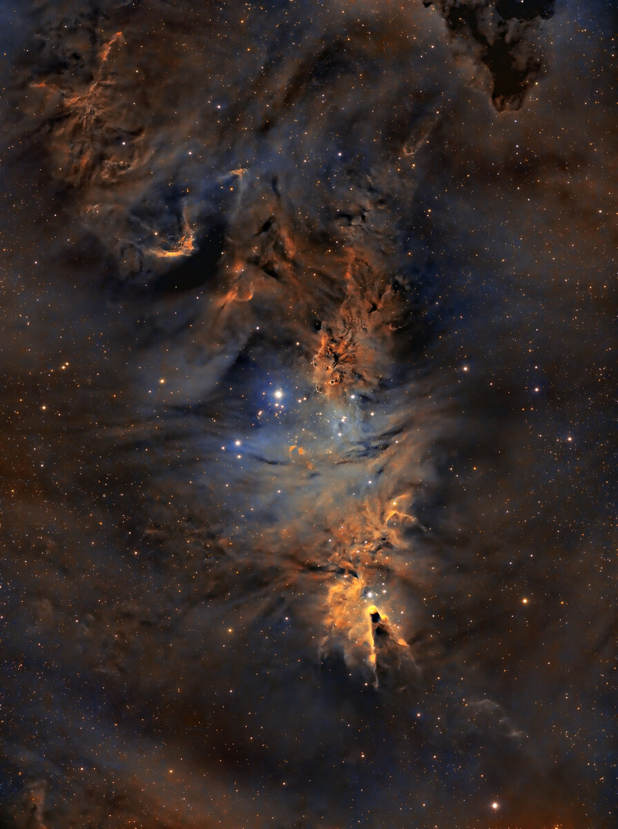 ChristmasTree_SHO_Full resolution.jpg