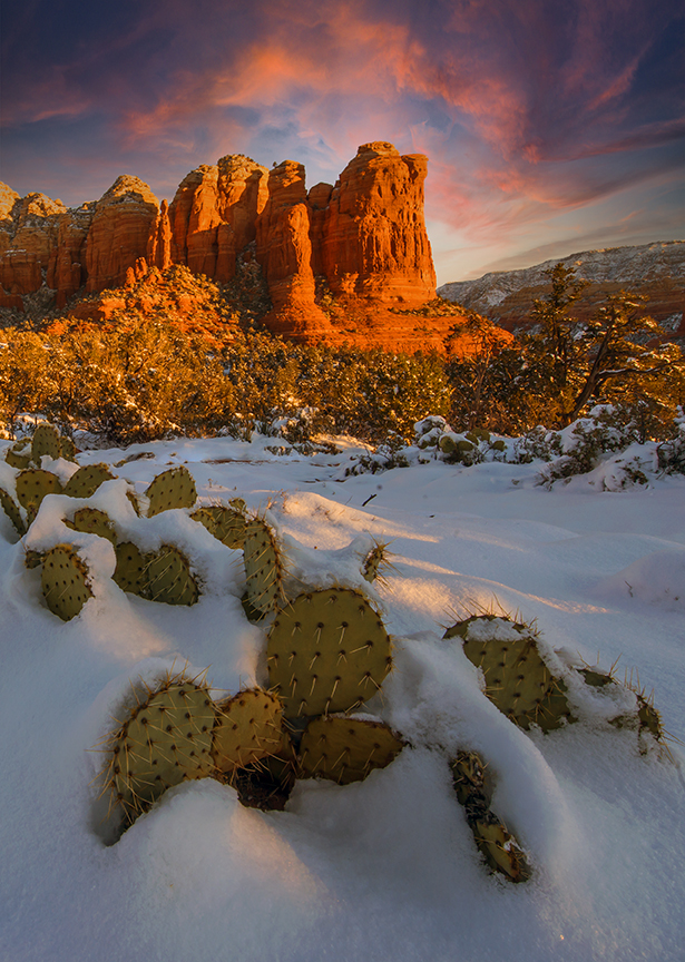 Coffee Pot (1 of 1)-2.jpg