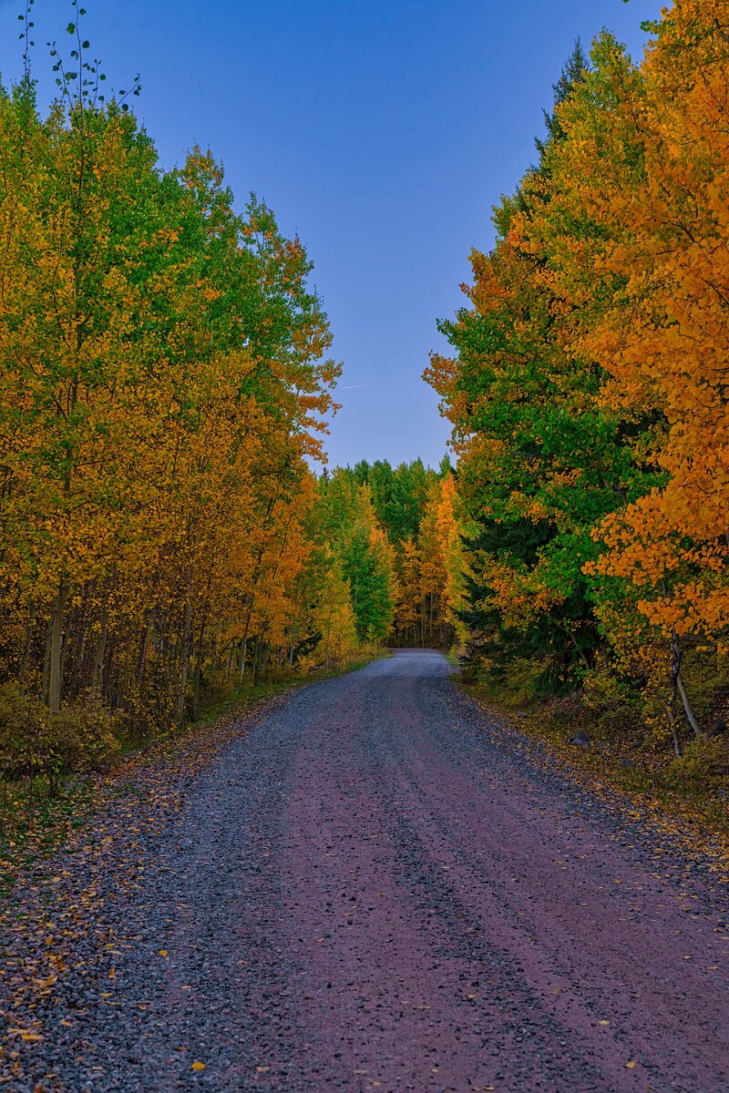 Colorado Fall-1.jpg