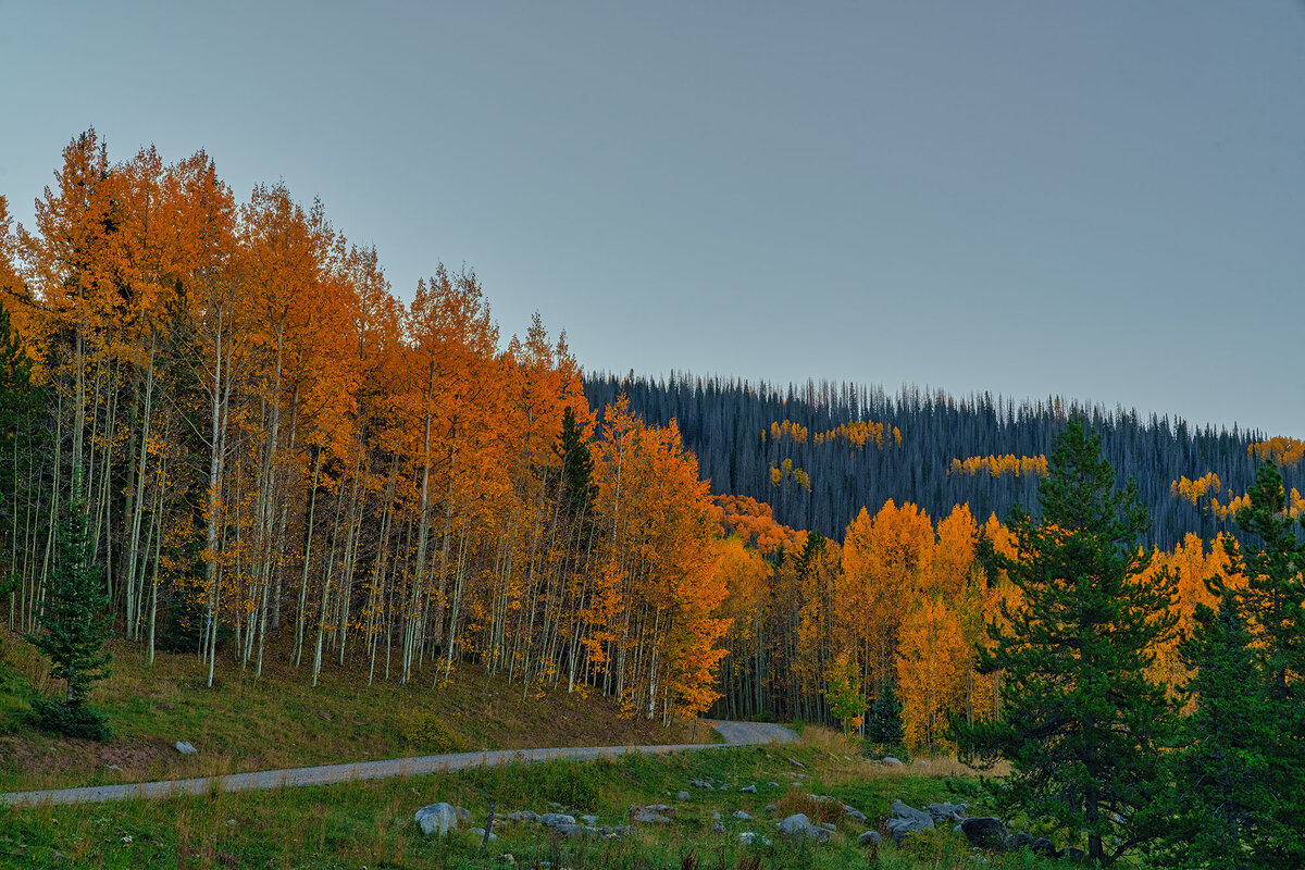 Colorado Fall-2.jpg