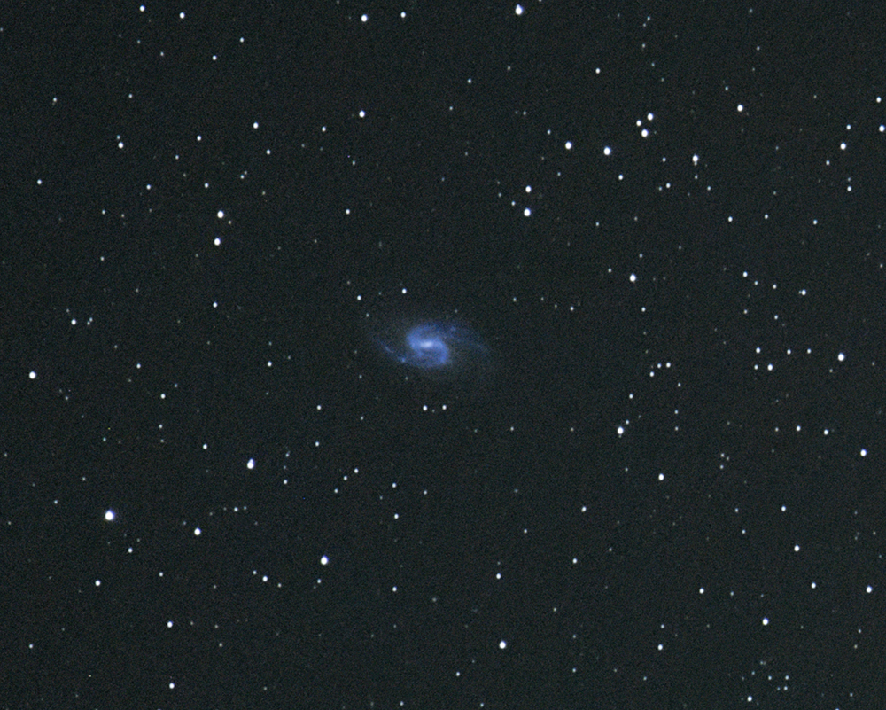 Comet_C2017_T2_d1w.jpg