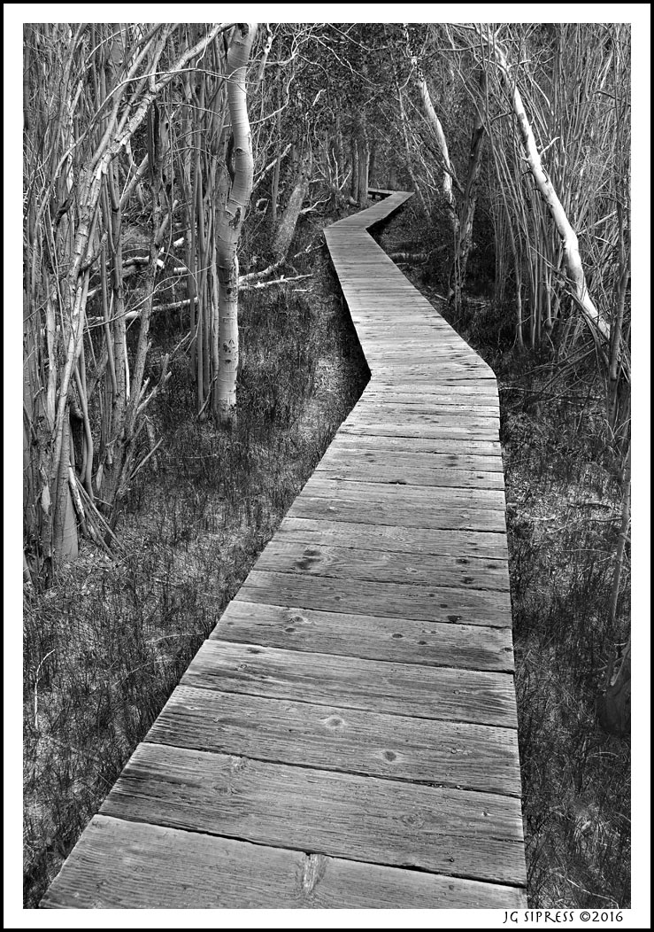 convictwalkway1.jpg
