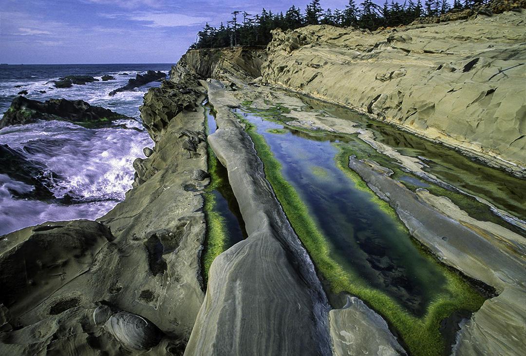 Coos Bay State Park.OR II.jpg