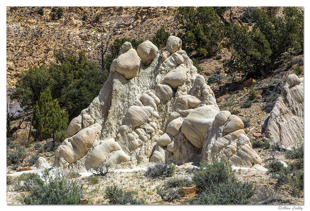 CottonwoodWash.jpg