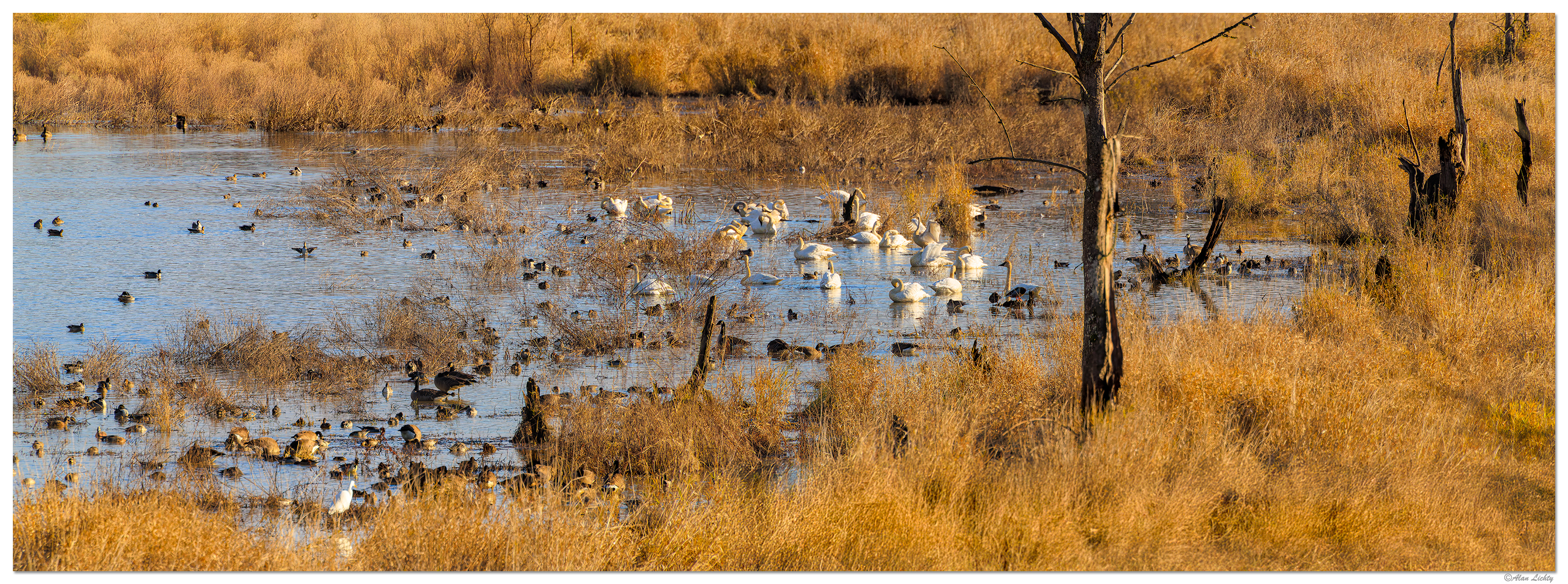 CR5m2_800P_SalmonCreekPonds120924.jpg