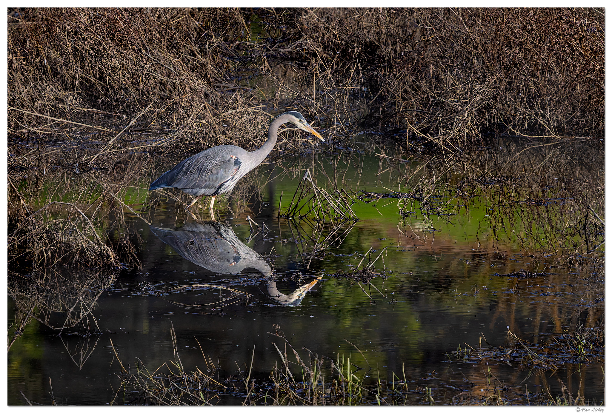 CR5m2_SalmonCreekGBH1010825.jpg