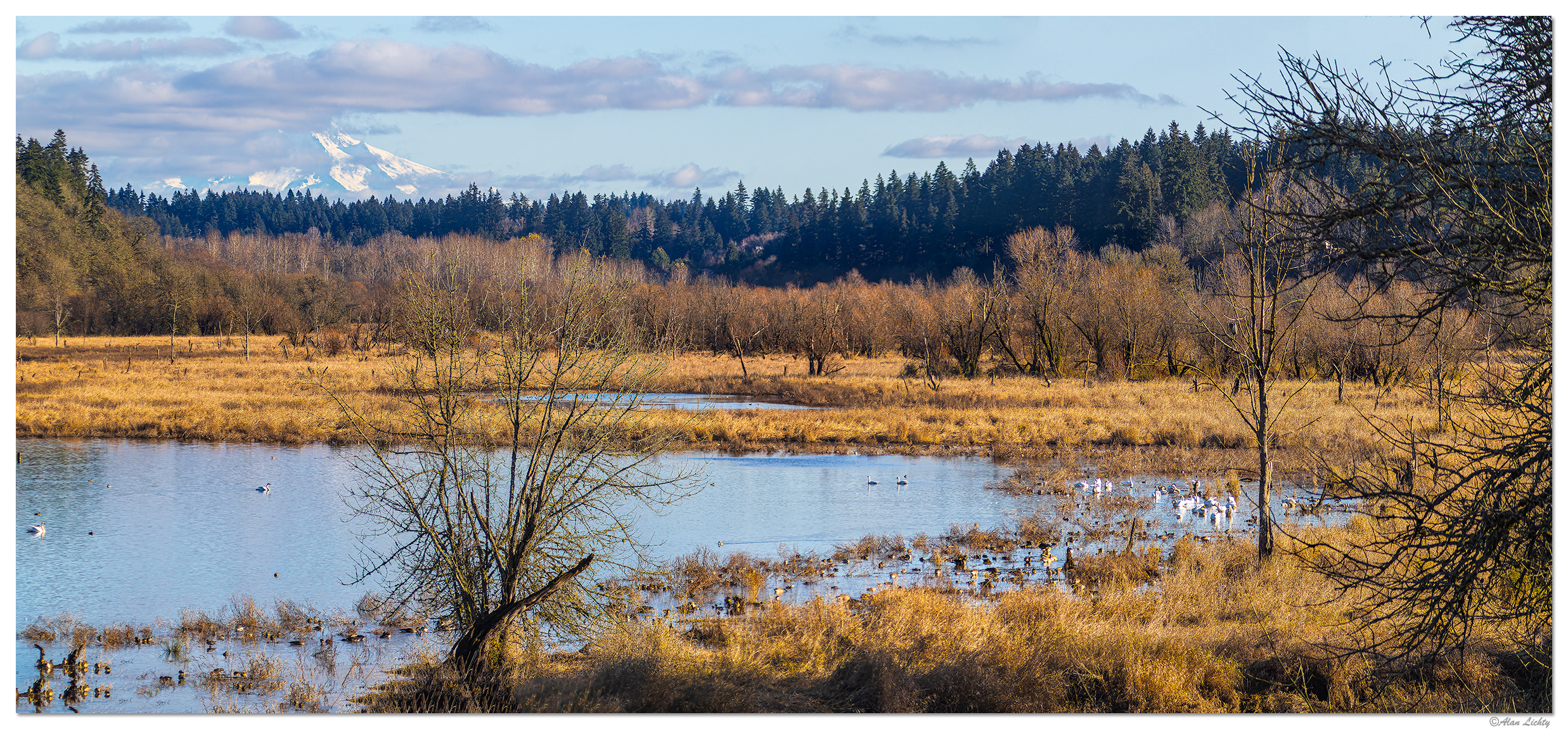 CR5m2_SalmonCreekPonds120924.jpg