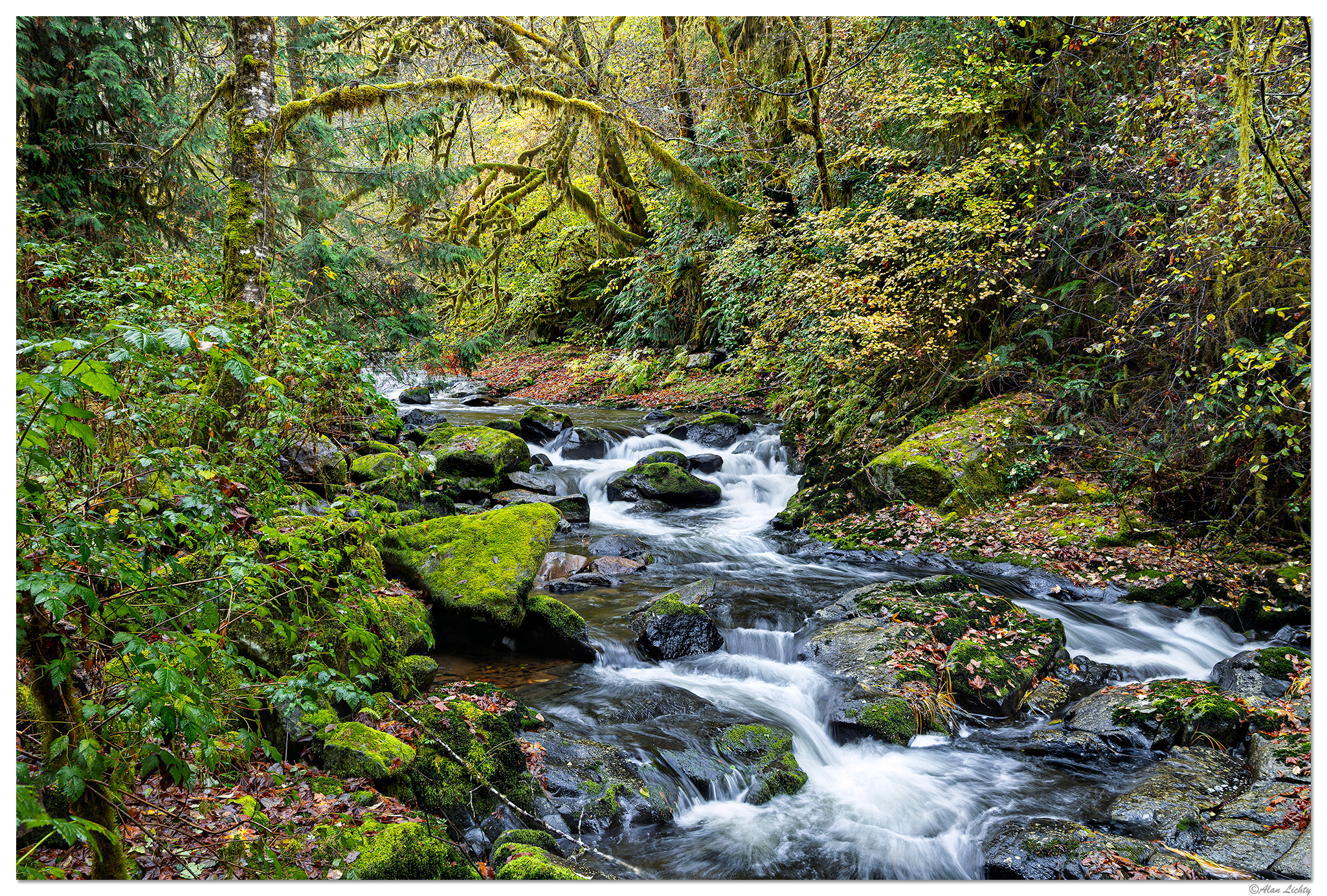 CR5m2_SC-Rapids103124.jpg