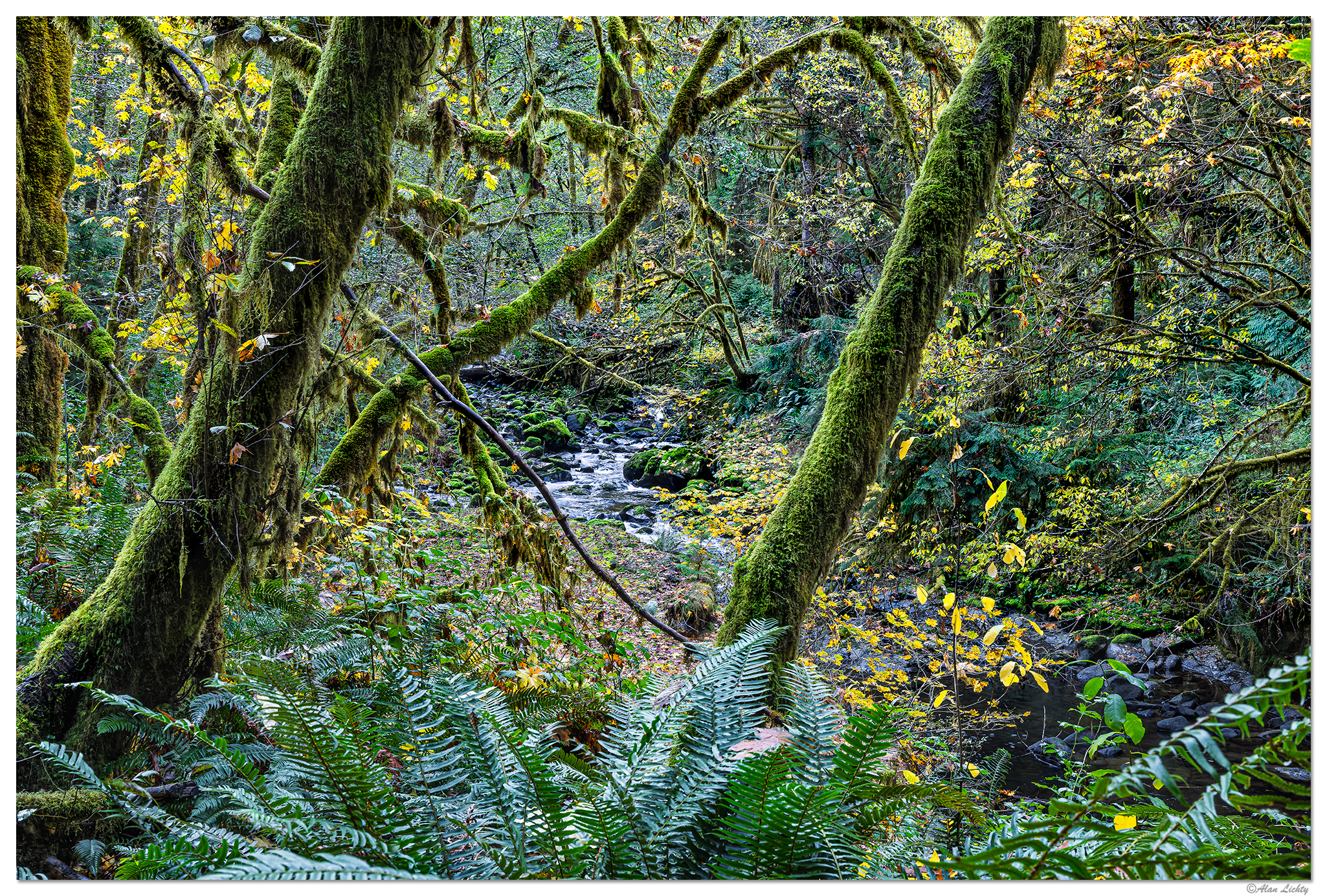 CR5m2_SCTrailside1102825.jpg
