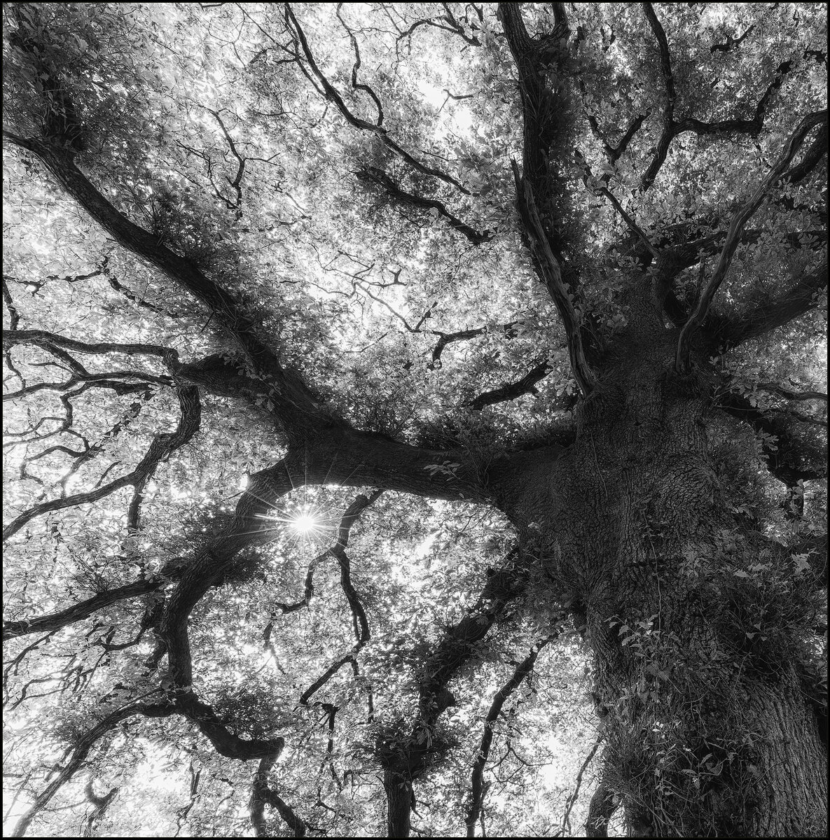 cracked sky small.jpg
