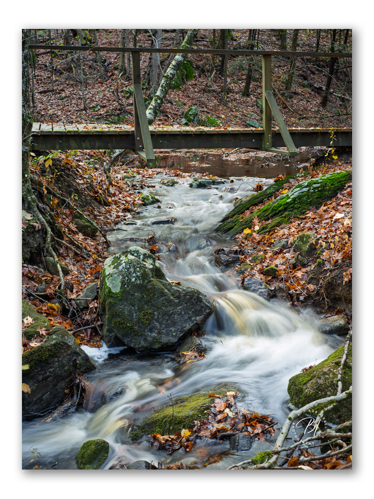 CT 103125-65_Original ratio_750x1000_U_100.jpg