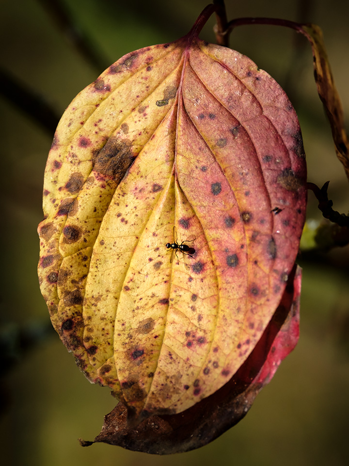 D20171016018_a.jpg