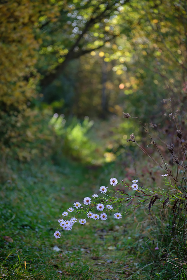 D20171016019.jpg