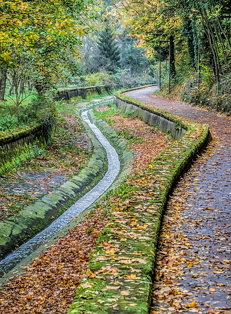 D20171026004_dw.jpg