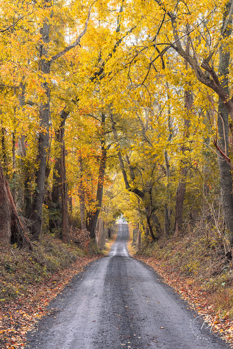 D24 102223-57-Edit.jpg
