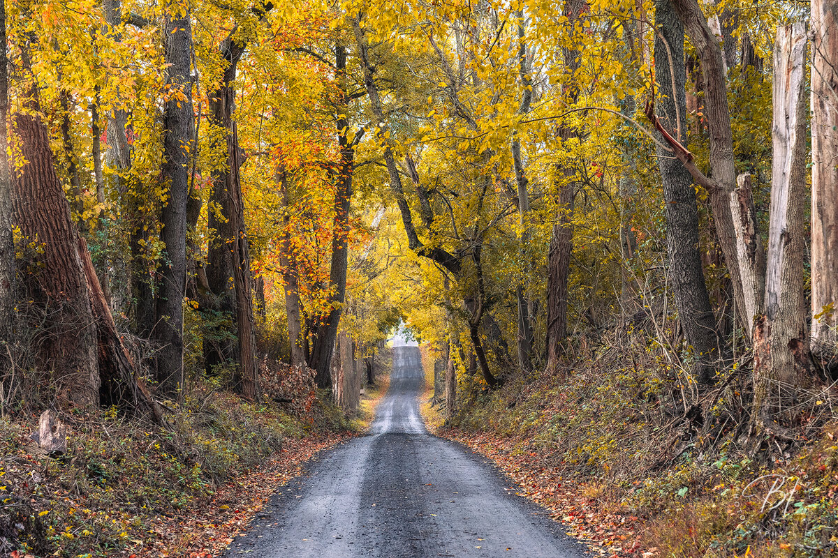 D24 102223-58-Edit.jpg