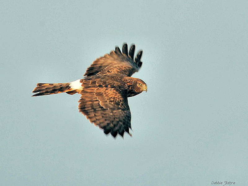 D80-2007-10-4-284.jpg