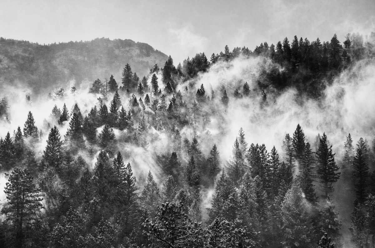 D85_1816BW150 copy.jpg