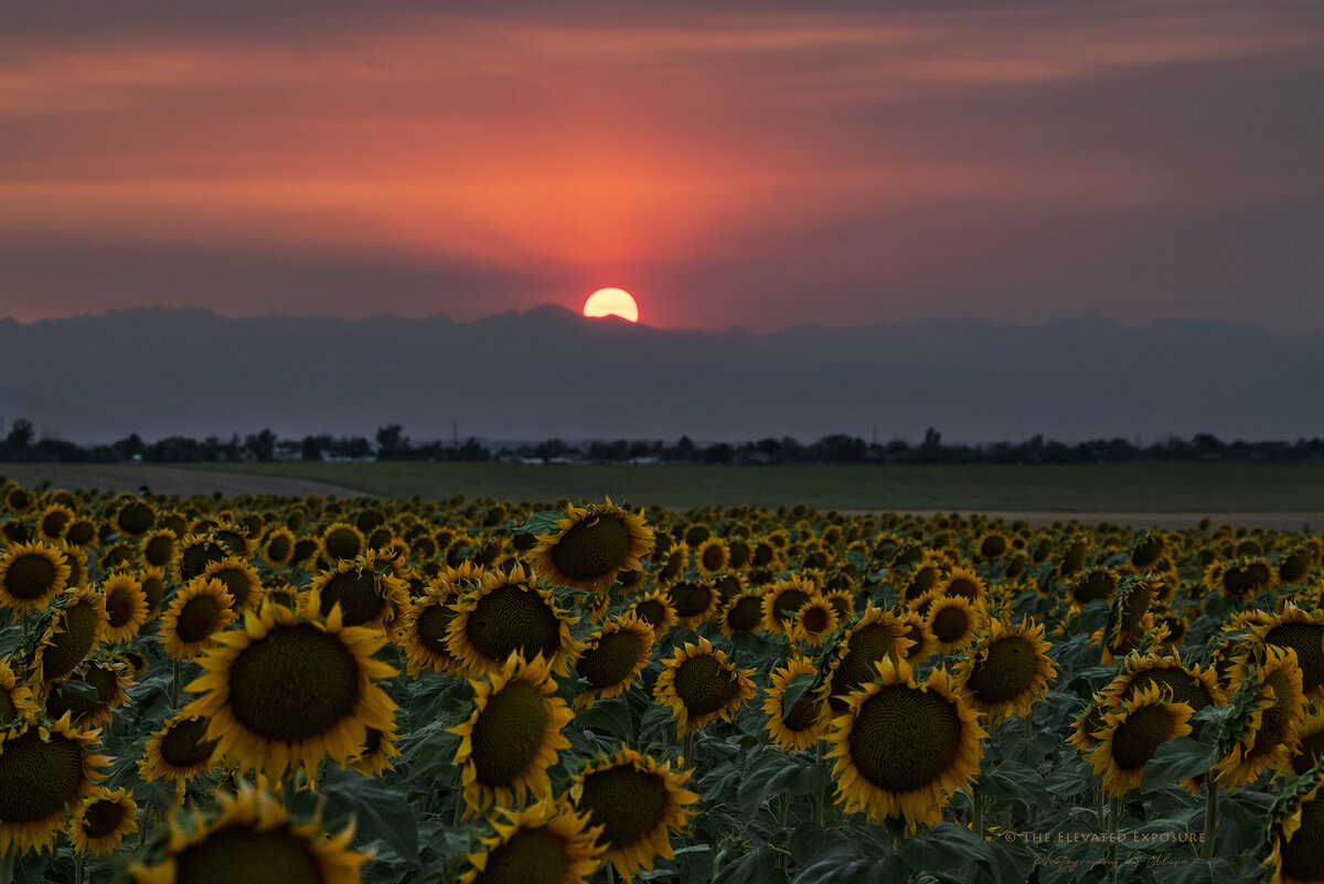 D85_3483.jpg