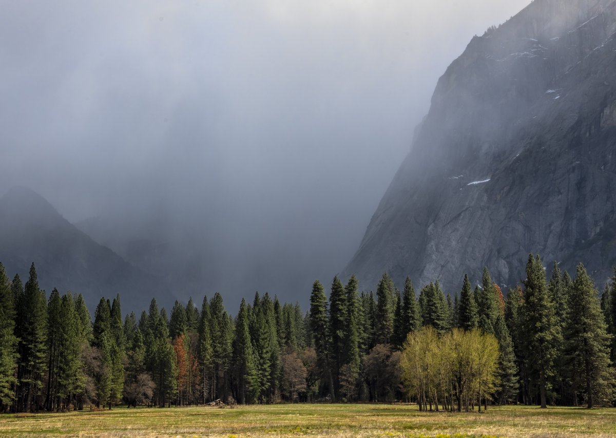 D85_4135.jpg