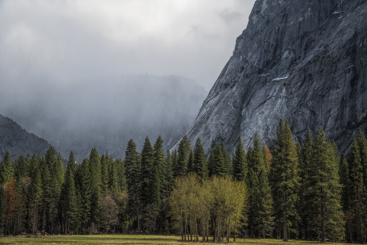 D85_4147.jpg