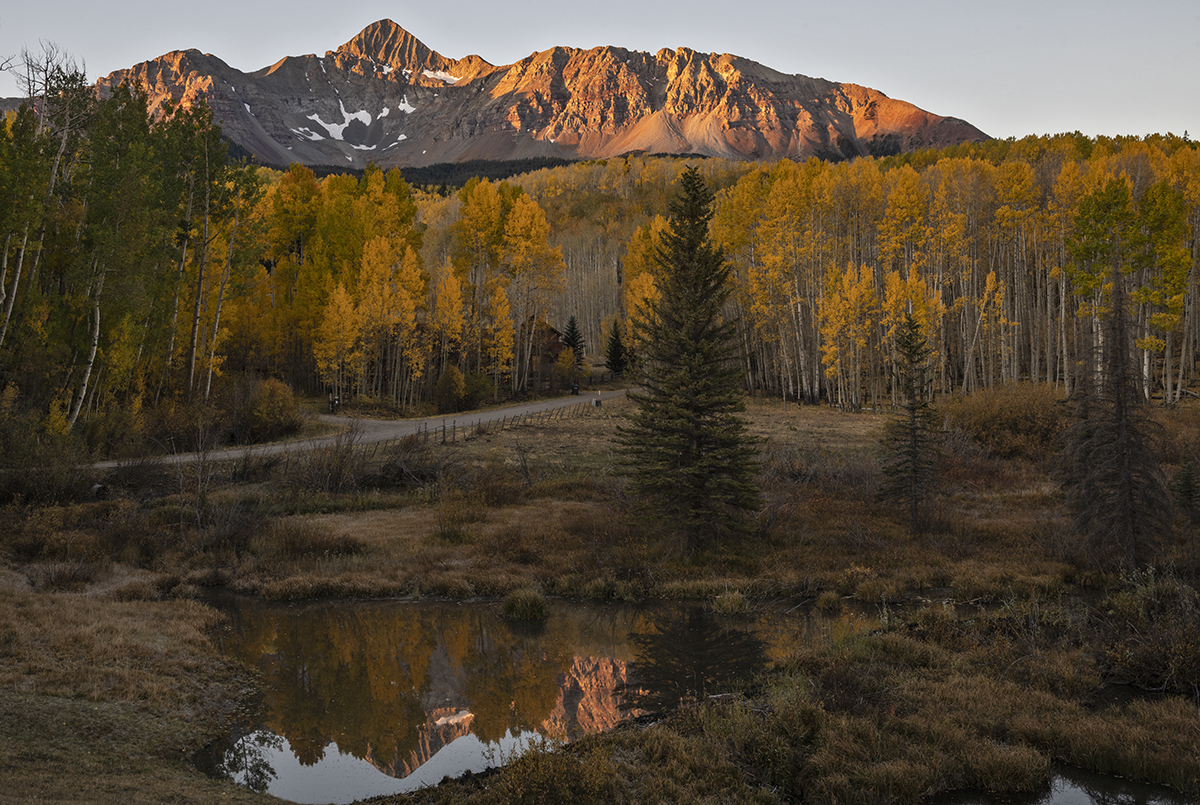 D85_5786.jpg