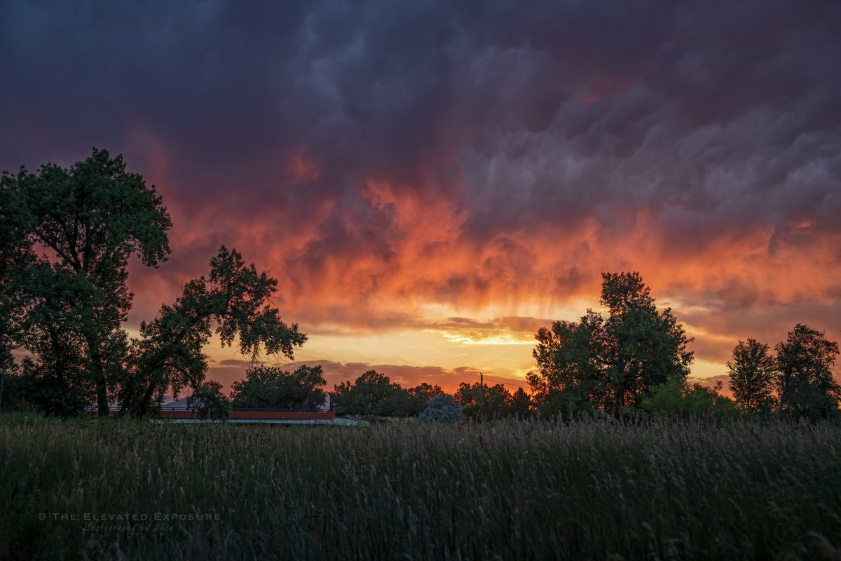 D85_6732.jpg