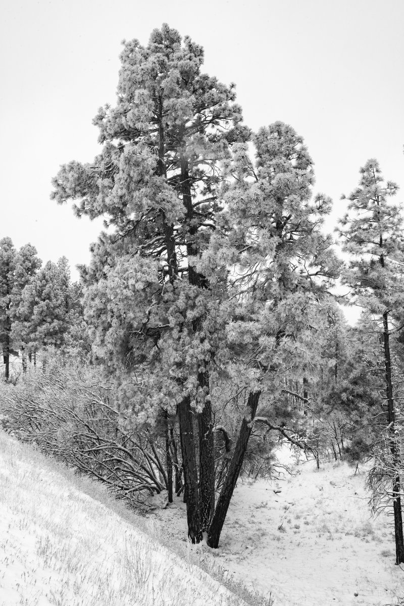 D85_8808.jpg