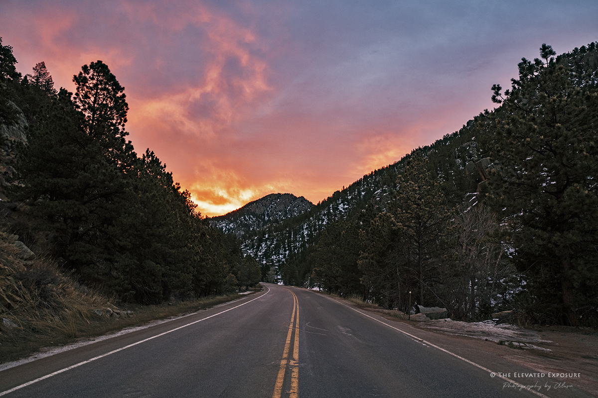 D85_9302.jpg
