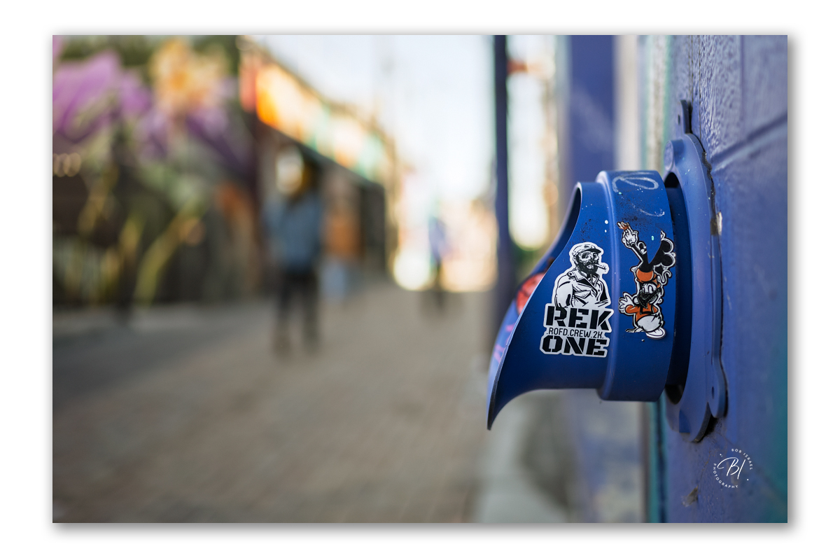 Daily Wanderings 030725-219_1200x797_U_100_BIP 1200.jpg