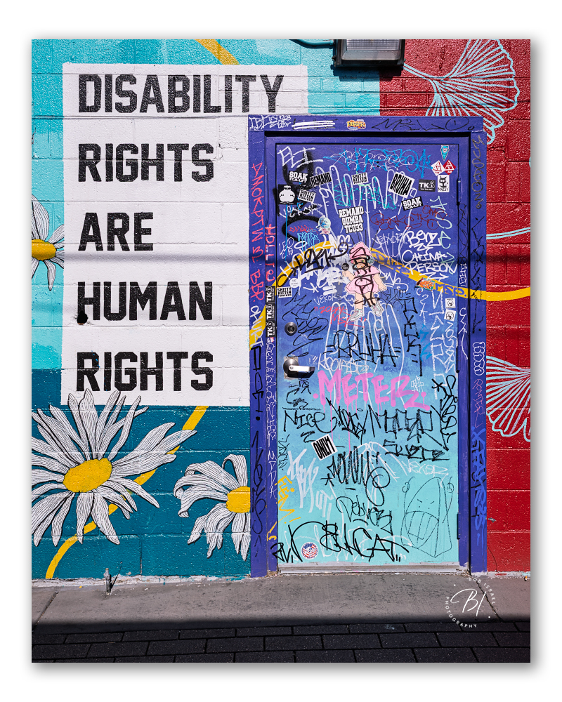 Daily Wanderings 030725-221_800x1000_U_100_BIP 1000.jpg