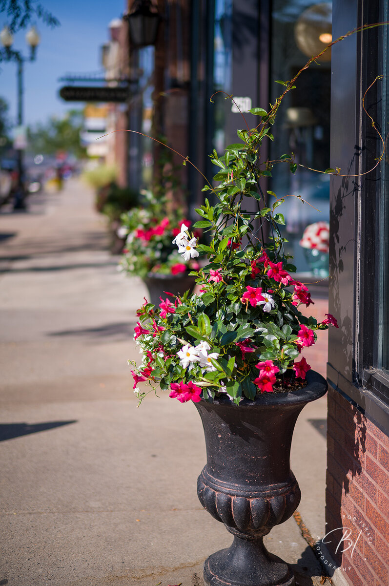 Daily Wanderings 080423-23-Edit.jpg