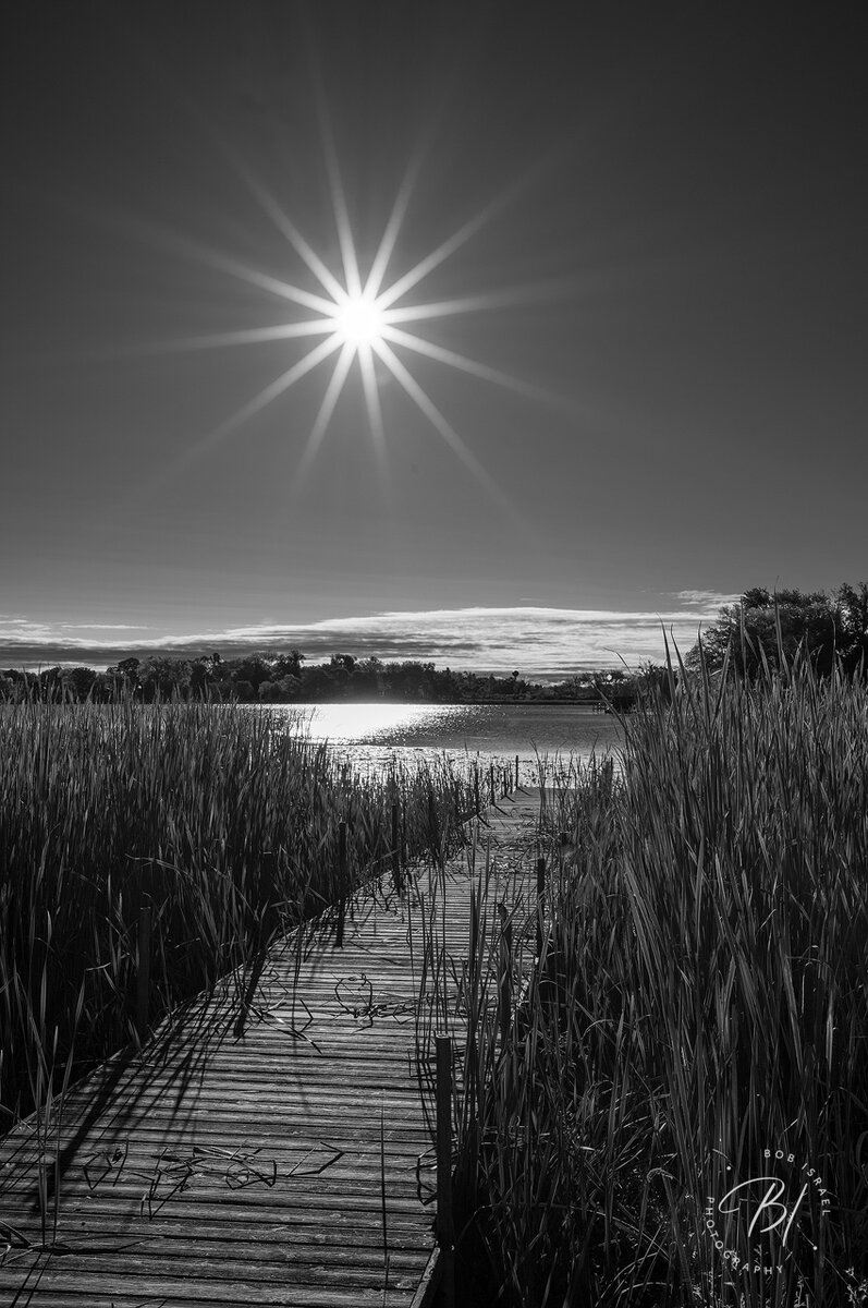 Daily Wanderings 100723-402-Edit.jpg
